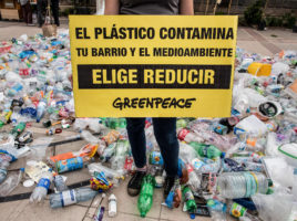 Providencia aprueba ordenanza que regula el uso de plásticos en el comercio.