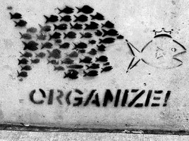 organize